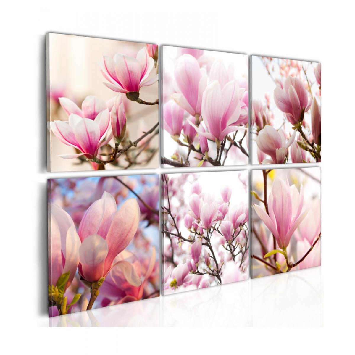 Artgeist - Tableau - Magnolias dans le Sud 60x40 - Tableaux, peintures