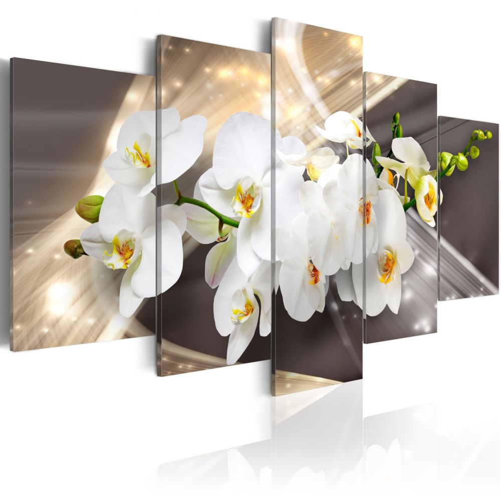 Bimago - Tableau - Golden Sash - Décoration, image, art | Fleurs | Orchidées | - Tableaux, peintures