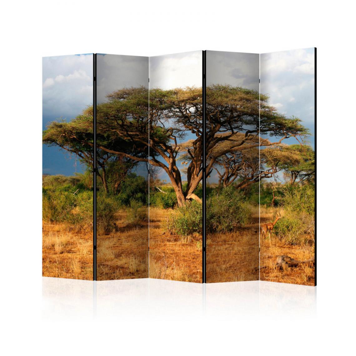 Artgeist - Paravent 5 volets - Samburu National Reserve, Kenya II [Room Dividers] 225x172 - Paravents