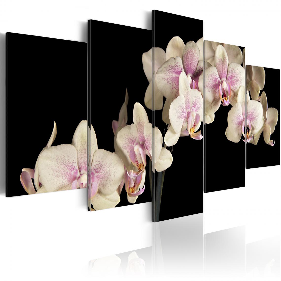 Decoshop26 - Tableau sur toile en 5 panneaux décoration murale image imprimée cadre en bois à suspendre Orchidée sur fond contrasté 100x50 cm 11_0005501 - Tableaux, peintures