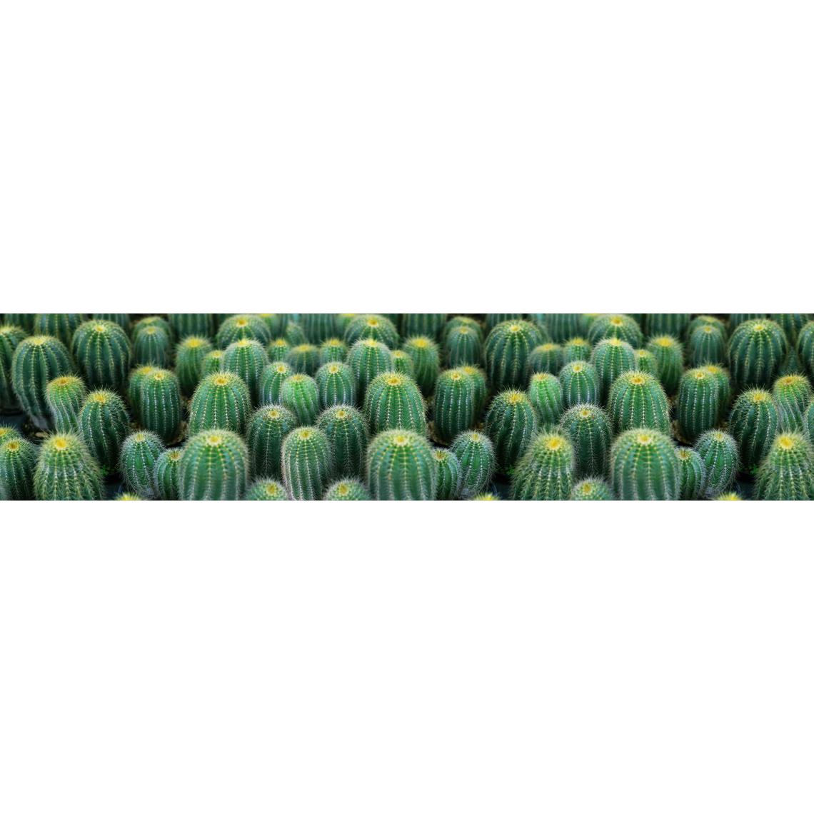 Alter - Chemin de cuisine, 100% Made in Italy, Tapis antitache avec impression numérique, Tapis antidérapant et lavable, Modèle Cactus - Brigitte, cm 240x52 - Tapis