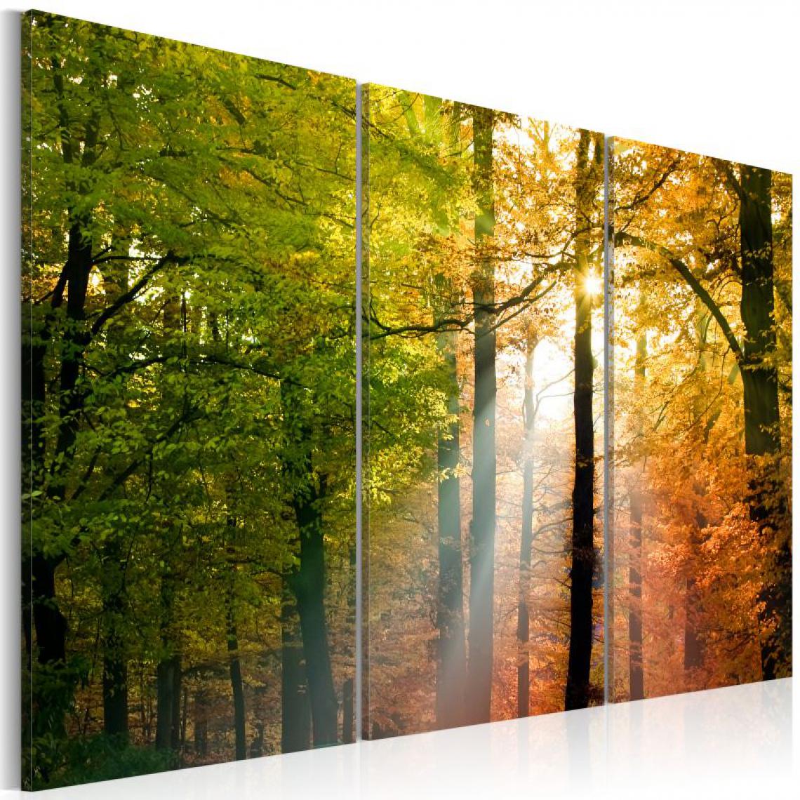 Artgeist - Tableau - Forêt d'automne .Taille : 120x80 - Tableaux, peintures