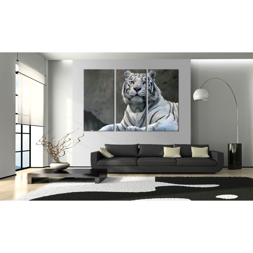 marque generique - 60x40 Tableau Chats Animaux Splendide Tigre blanc - Tableaux, peintures
