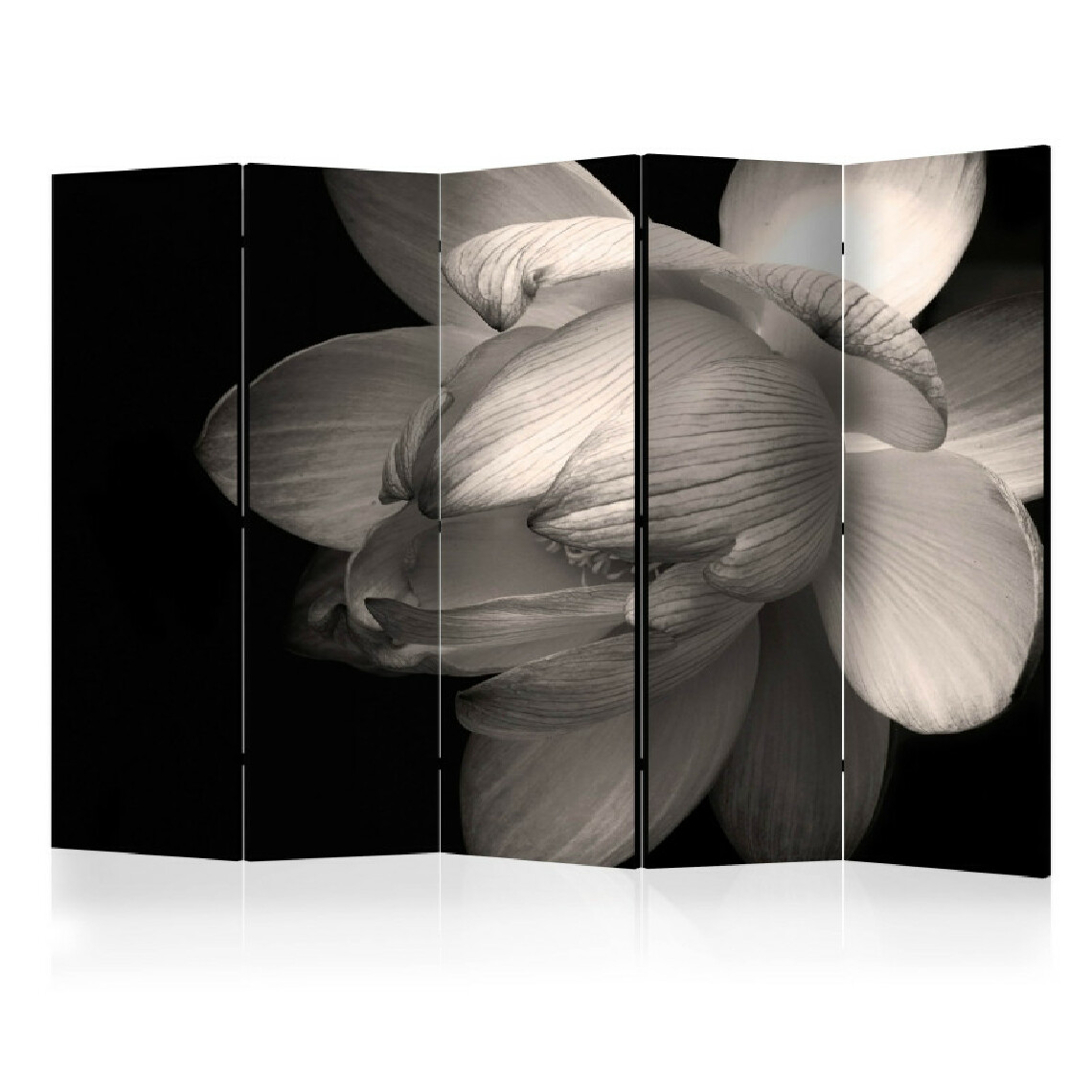 Artgeist - Paravent 5 volets - Lotus flower II [Room Dividers] 225x172 - Paravents