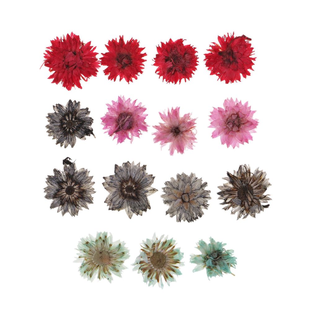 marque generique - 15 pièces naturelles vraies fleurs séchées fleur pour bricolage artisanat nail art 10mm - Plantes et fleurs artificielles