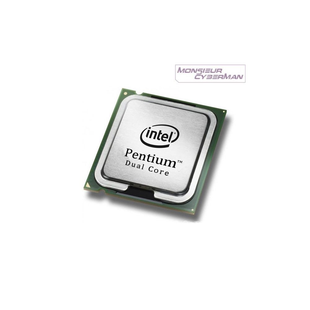 Intel - Processeur CPU Intel Pentium Dual Core E5500 2.8Ghz 2Mo 800Mhz LGA775 SLGTJ Pc - Processeur INTEL