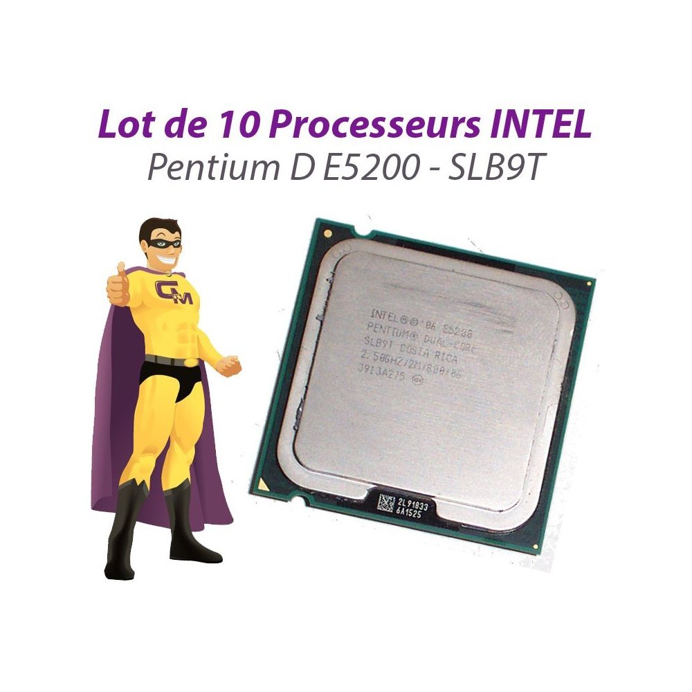 Intel - Lot x10 Processeurs CPU Intel Pentium Dual Core E5200 2.5Ghz 800Mhz LGA775 SLB9T - Processeur INTEL