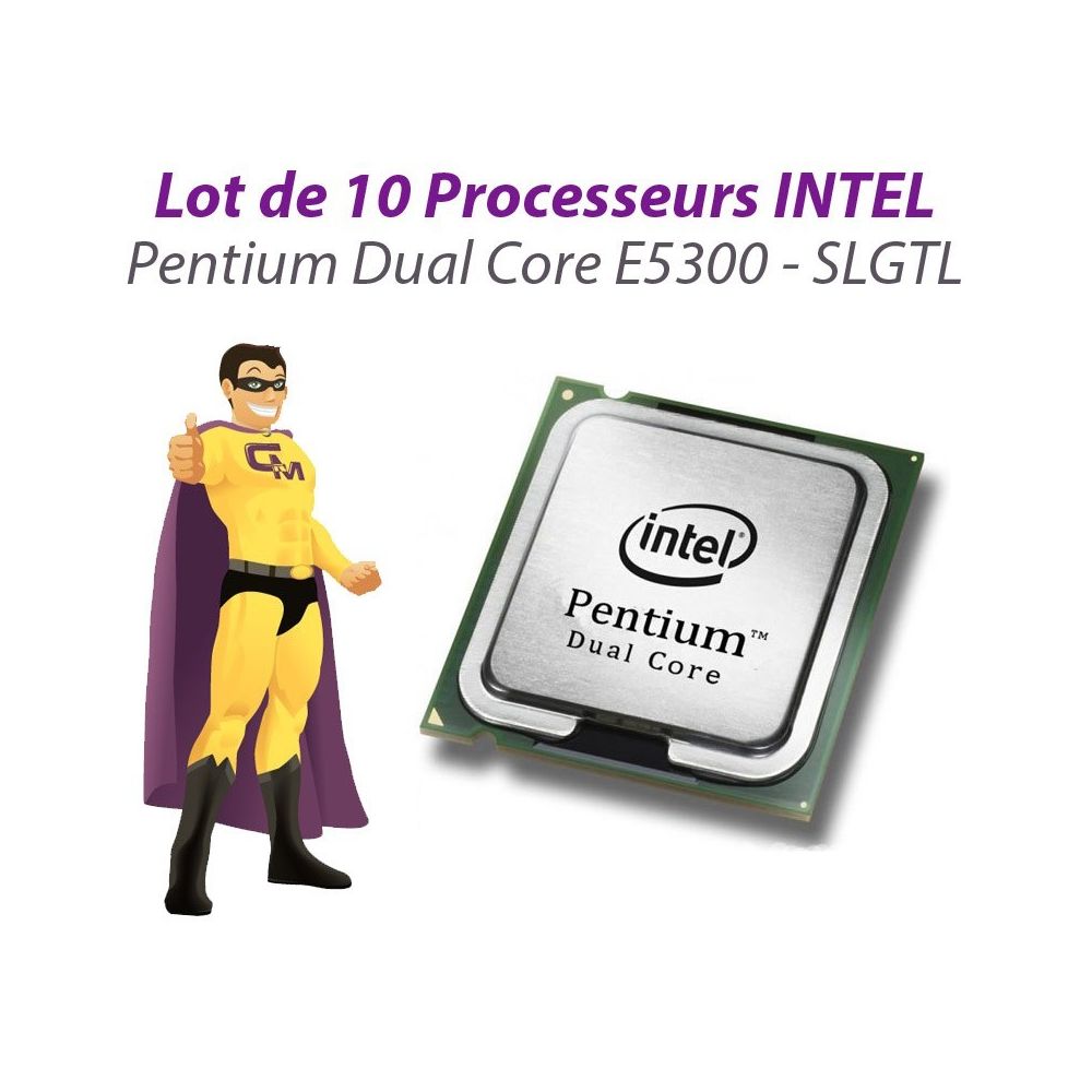 Intel - Lot x10 Processeurs CPU Intel Pentium Dual Core E5300 2.6Ghz 800Mhz LGA775 SLGTL - Processeur INTEL