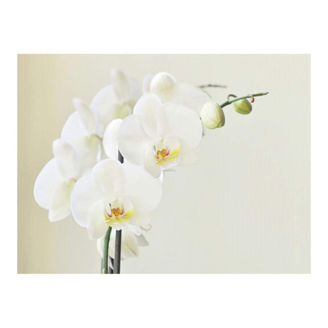 Artgeist - Papier peint - Orchidée blanche .Taille : 400x309 - Papier peint