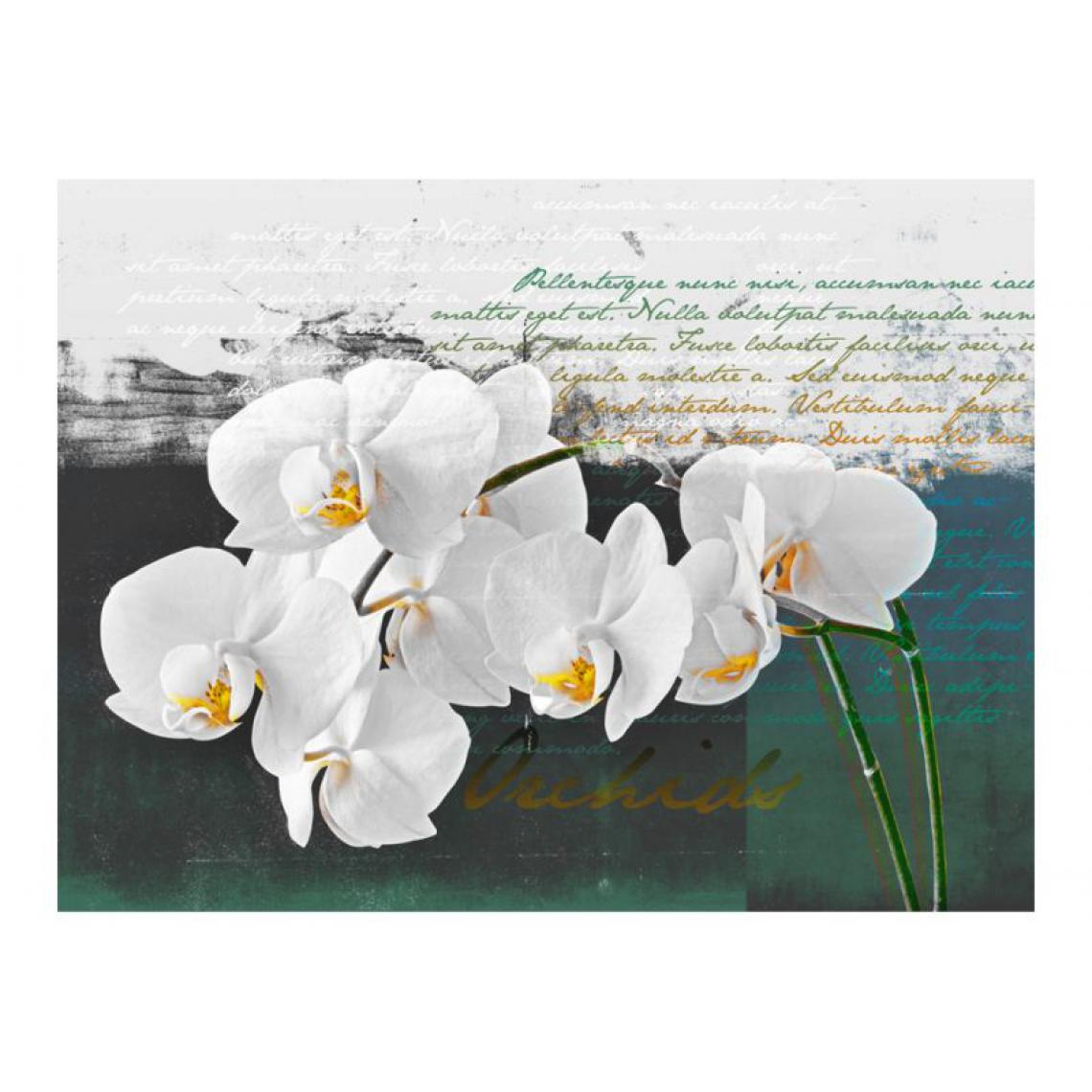 Artgeist - Papier peint - Orchidées - inspiration du poète .Taille : 250x193 - Papier peint