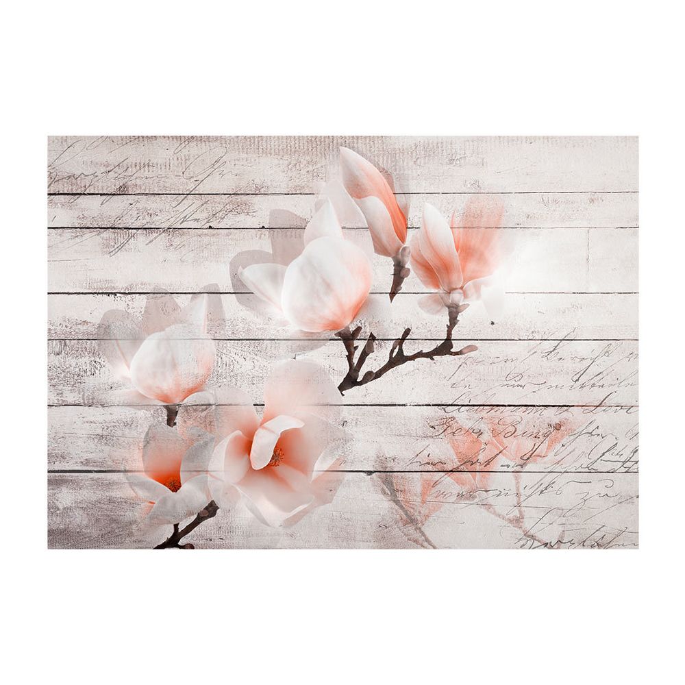 Artgeist - Papier peint - Subtlety of the Magnolia 300x210 - Papier peint