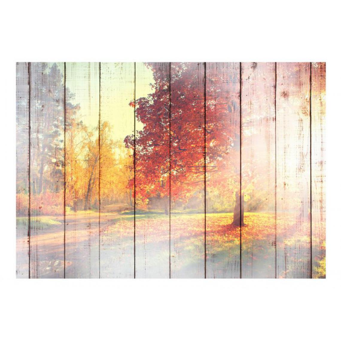 Artgeist - Papier peint - Autumn Sun .Taille : 250x175 - Papier peint