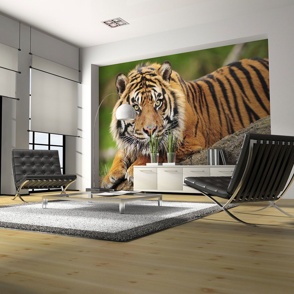 Bimago - Papier peint - Tigre de Sumatra - Décoration, image, art | Animaux | - Papier peint