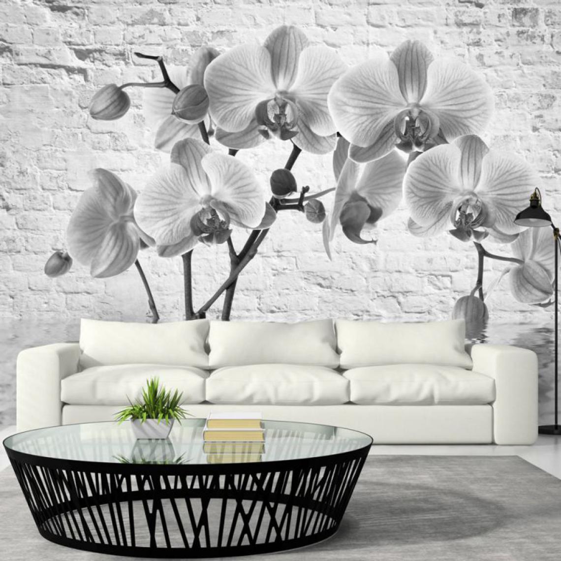 Artgeist - Papier peint - Orchid in Shades of Gray .Taille : 350x245 - Papier peint