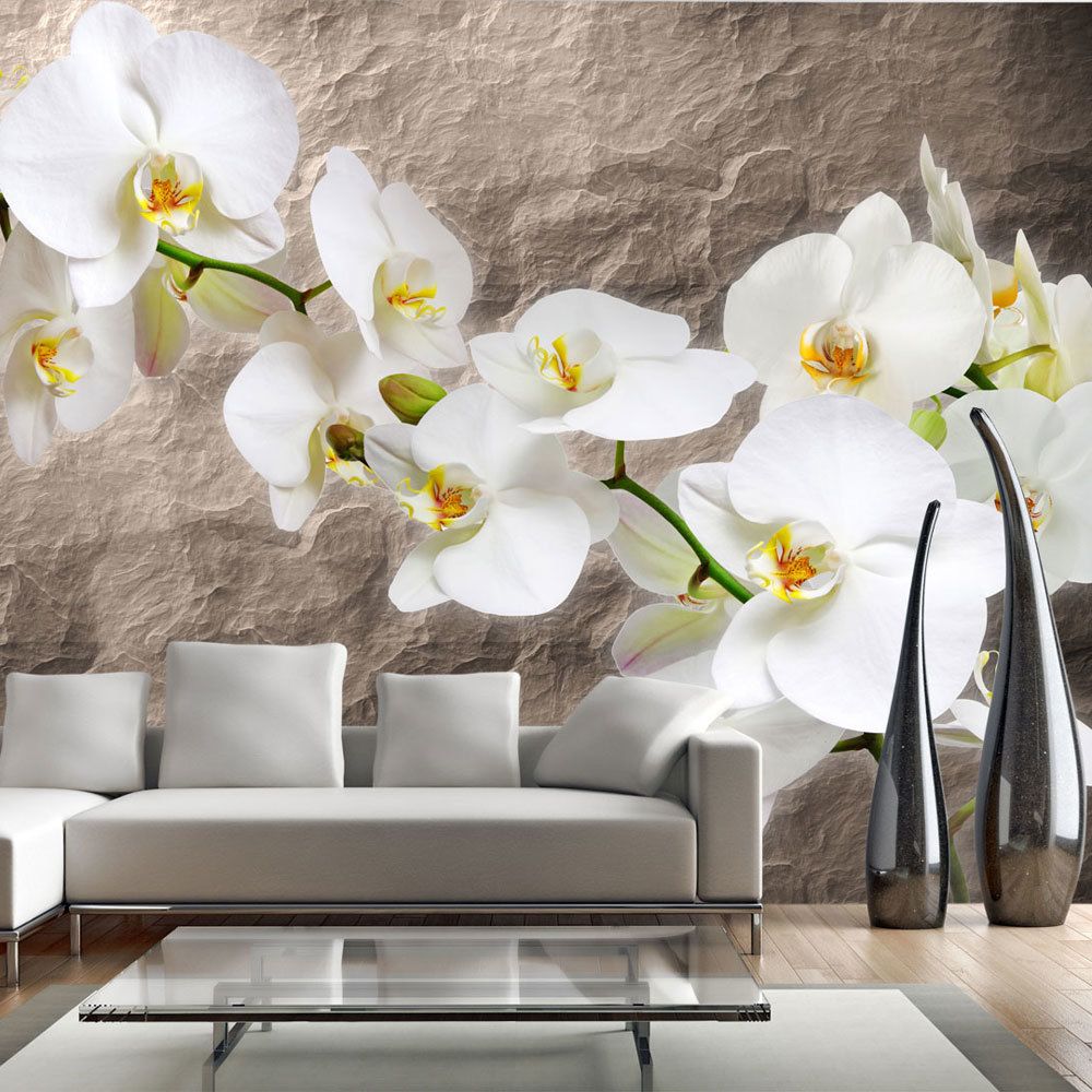 Bimago - Papier peint | Purity of the orchid | 400x309 | Fleurs | Orchidées | - Papier peint