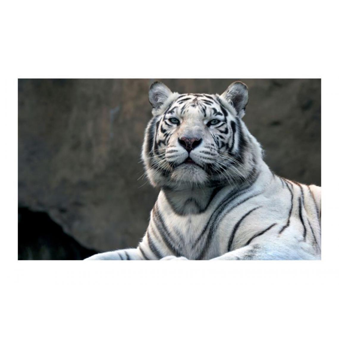 Artgeist - Papier peint - Tigre du Bengale au zoo .Taille : 450x270 - Papier peint
