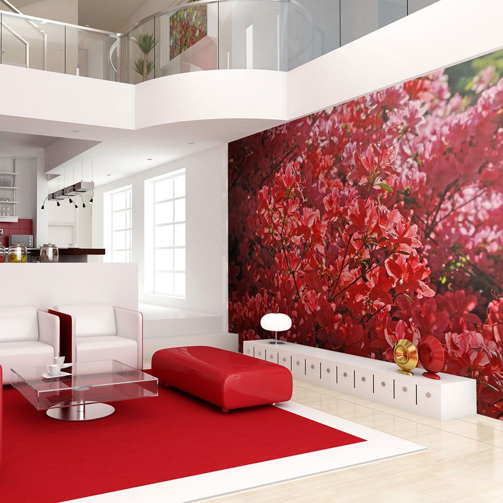 Bimago - Papier peint | Rhododendron, Japanische azalea | 350x270 | Fleurs | Autres fleurs | - Papier peint