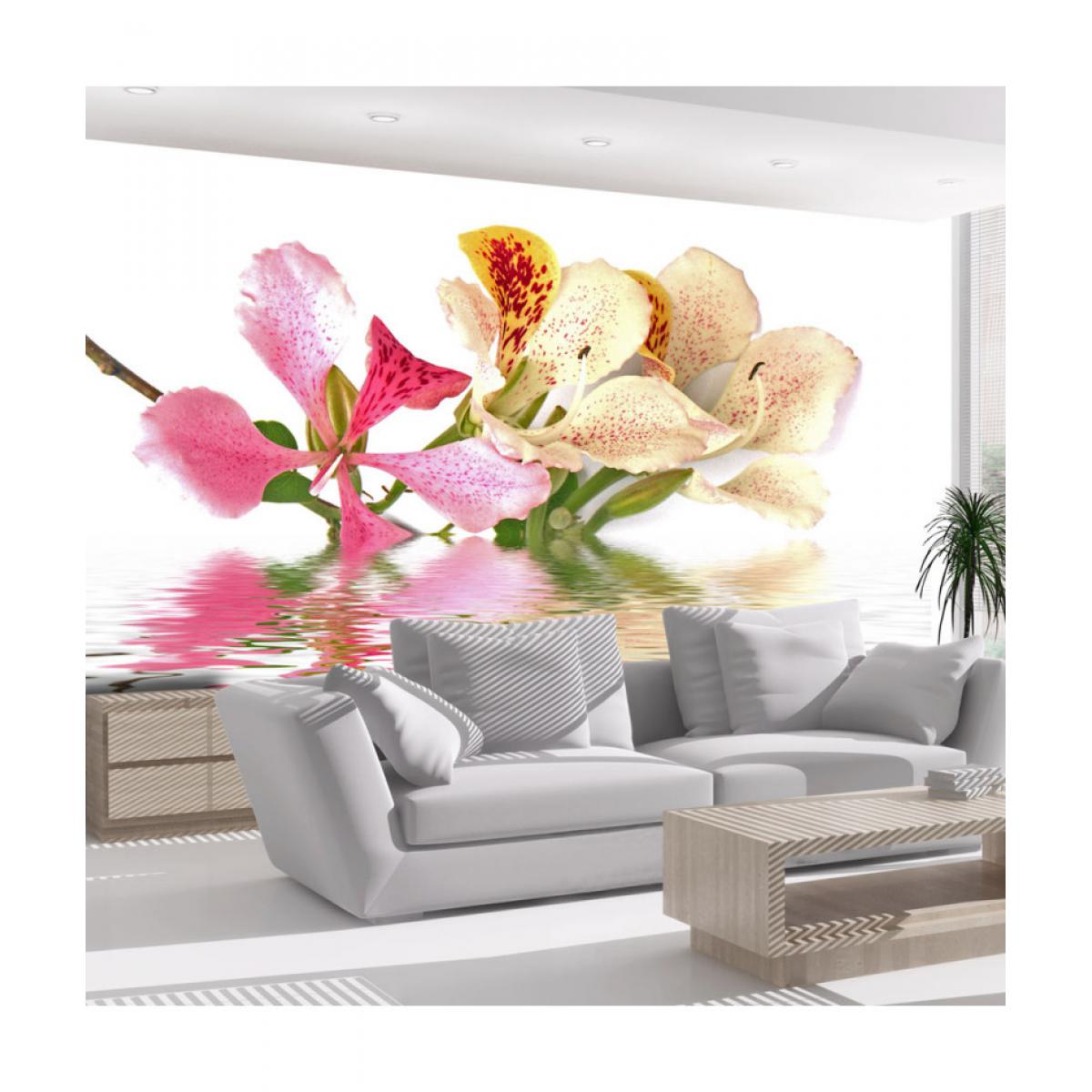 Artgeist - Papier peint - Fleurs tropicales - arbre aux orchidées (bauhinia) 400x309 - Papier peint