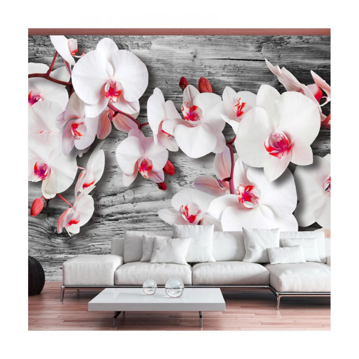Artgeist - Papier peint - Callous orchids 100x70 - Papier peint