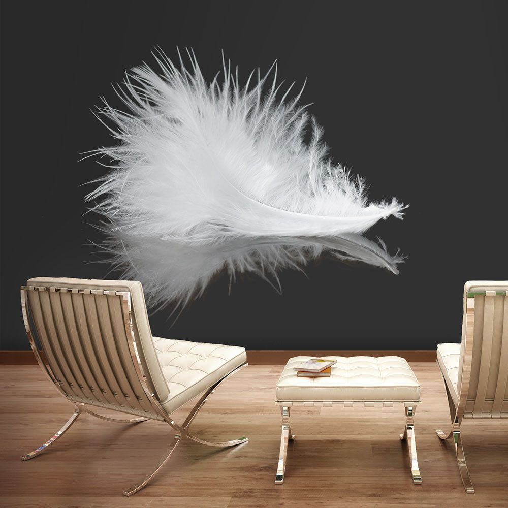 Bimago - Papier peint - White feather - Décoration, image, art | Animaux | - Papier peint