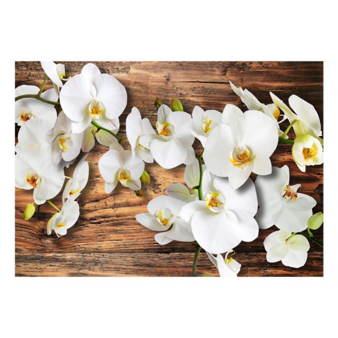 Artgeist - Papier peint - Forest Orchid .Taille : 250x175 - Papier peint
