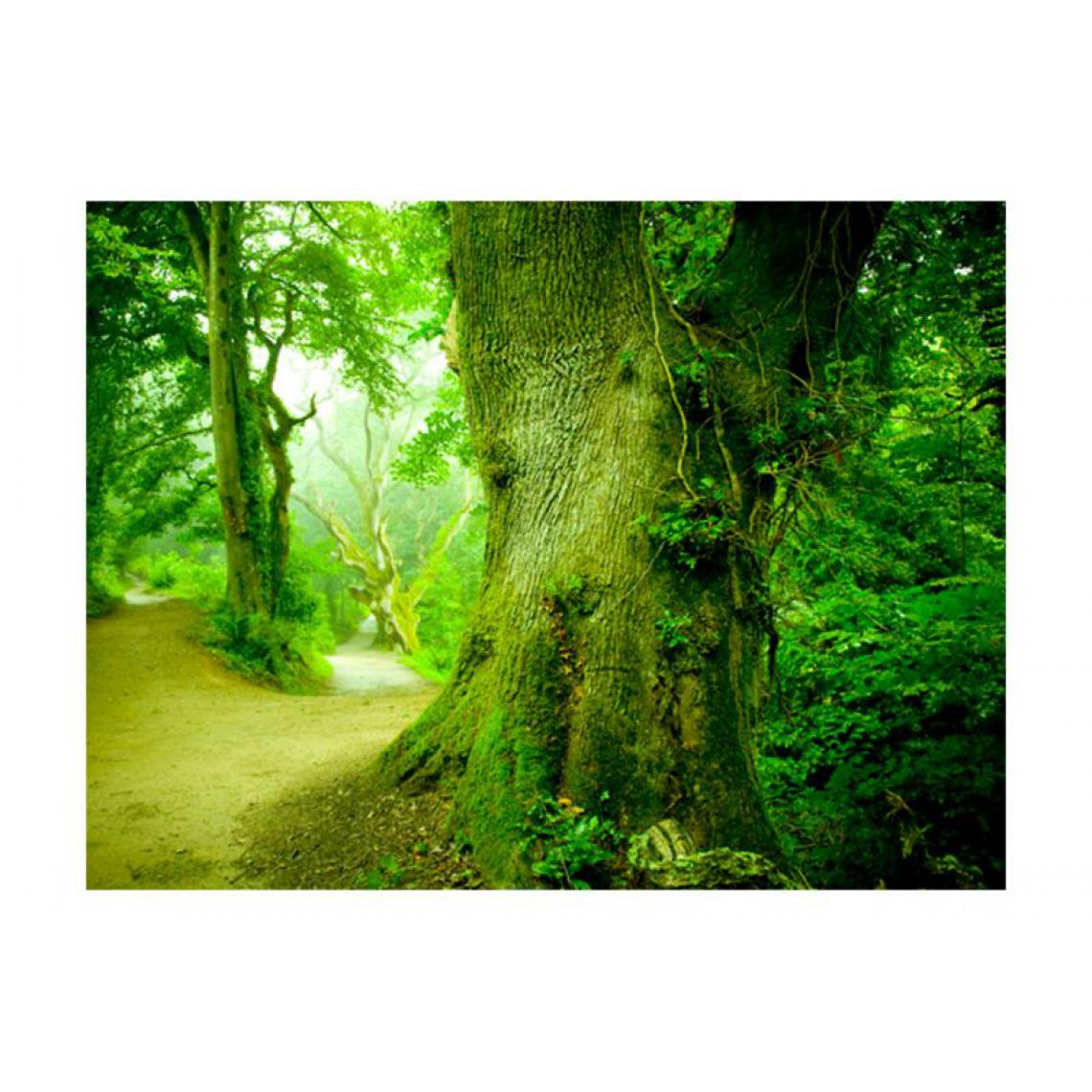 Artgeist - Papier peint - Chemin forestier .Taille : 250x193 - Papier peint