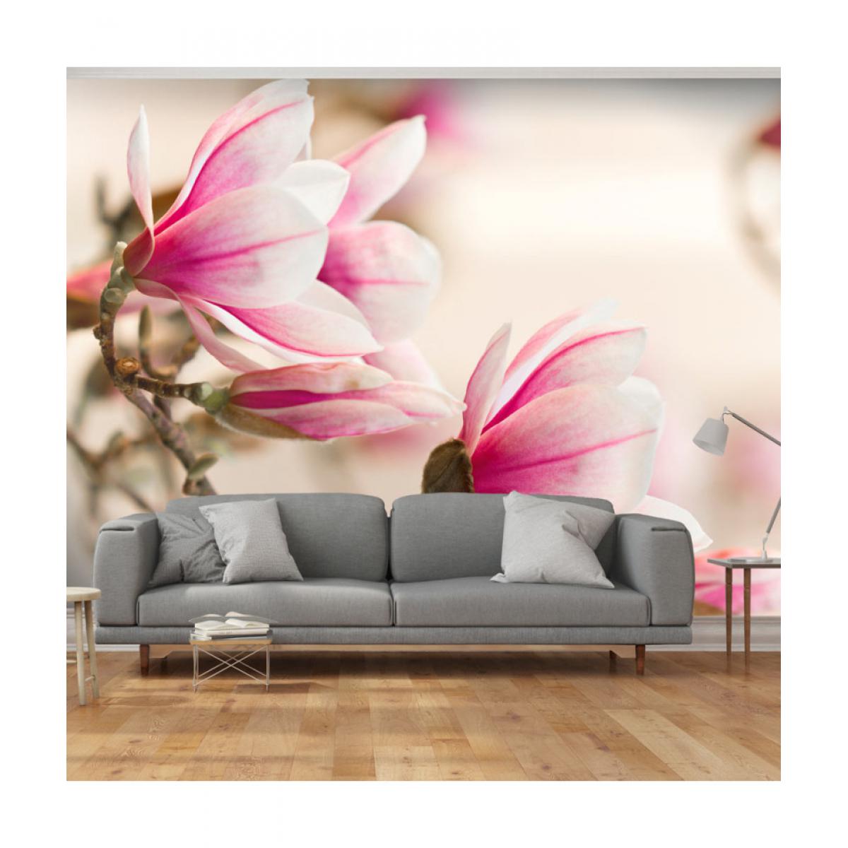 Artgeist - Papier peint - Branch of magnolia tree 400x309 - Papier peint
