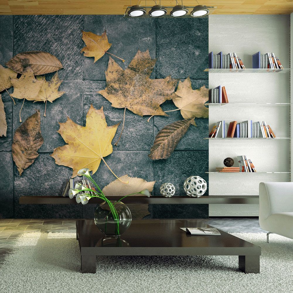 Bimago - Papier peint | automne | 300x231 | Paysages | Arbres et Forêt | mélancolie | - Papier peint