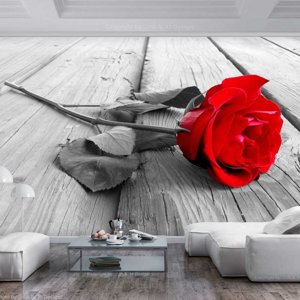 marque generique - 250x175 Papier peint Roses Fleurs Splendide Abandoned Rose - Papier peint