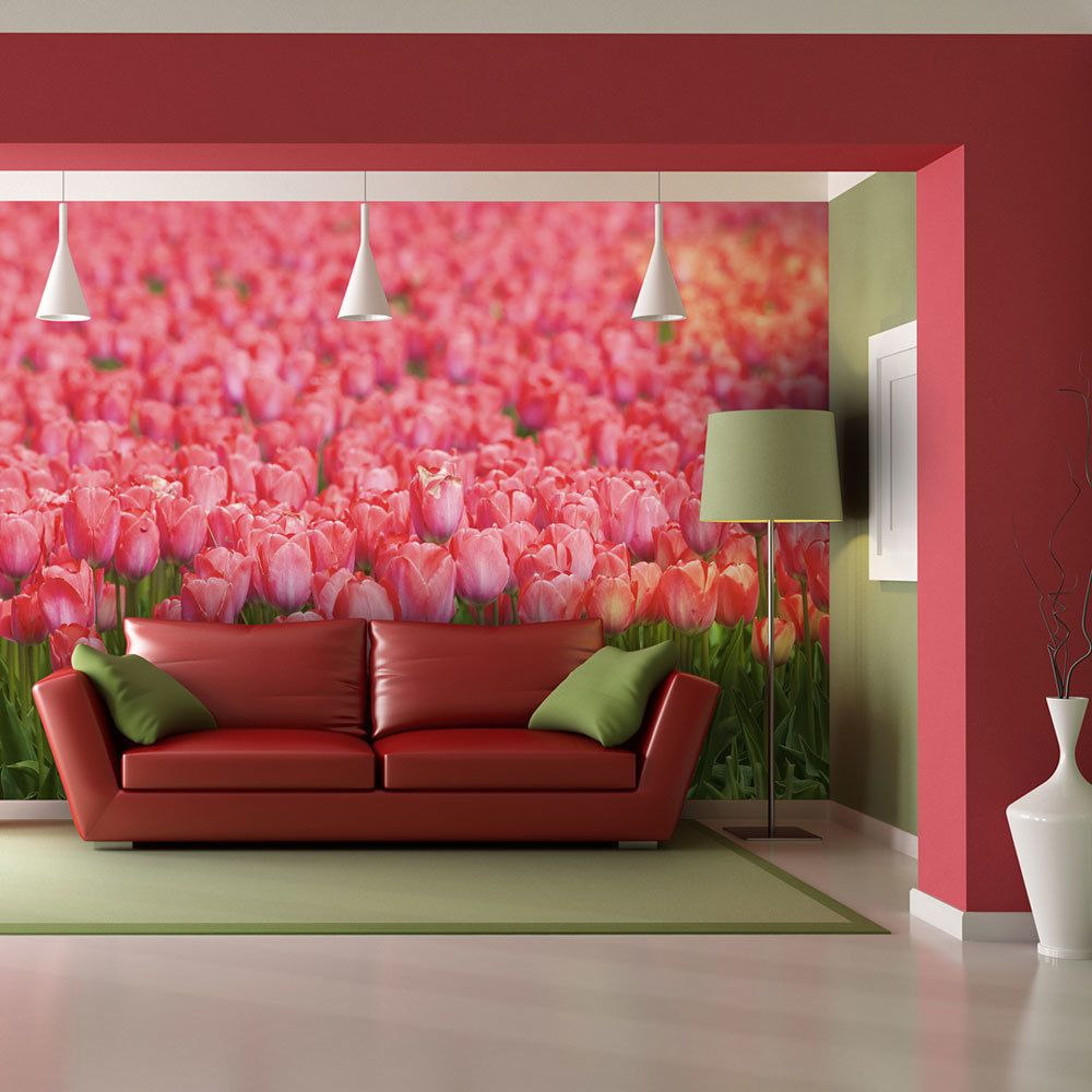 Bimago - Papier peint | Champ de tulipes roses au printemps | 300x231 | Fleurs | Tulipes | - Papier peint