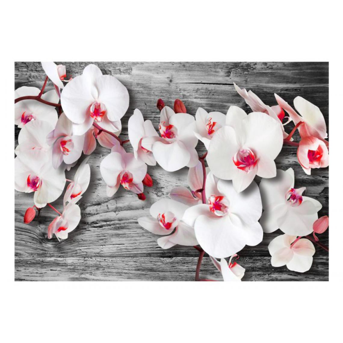 Artgeist - Papier peint - Callous orchids .Taille : 400x280 - Papier peint