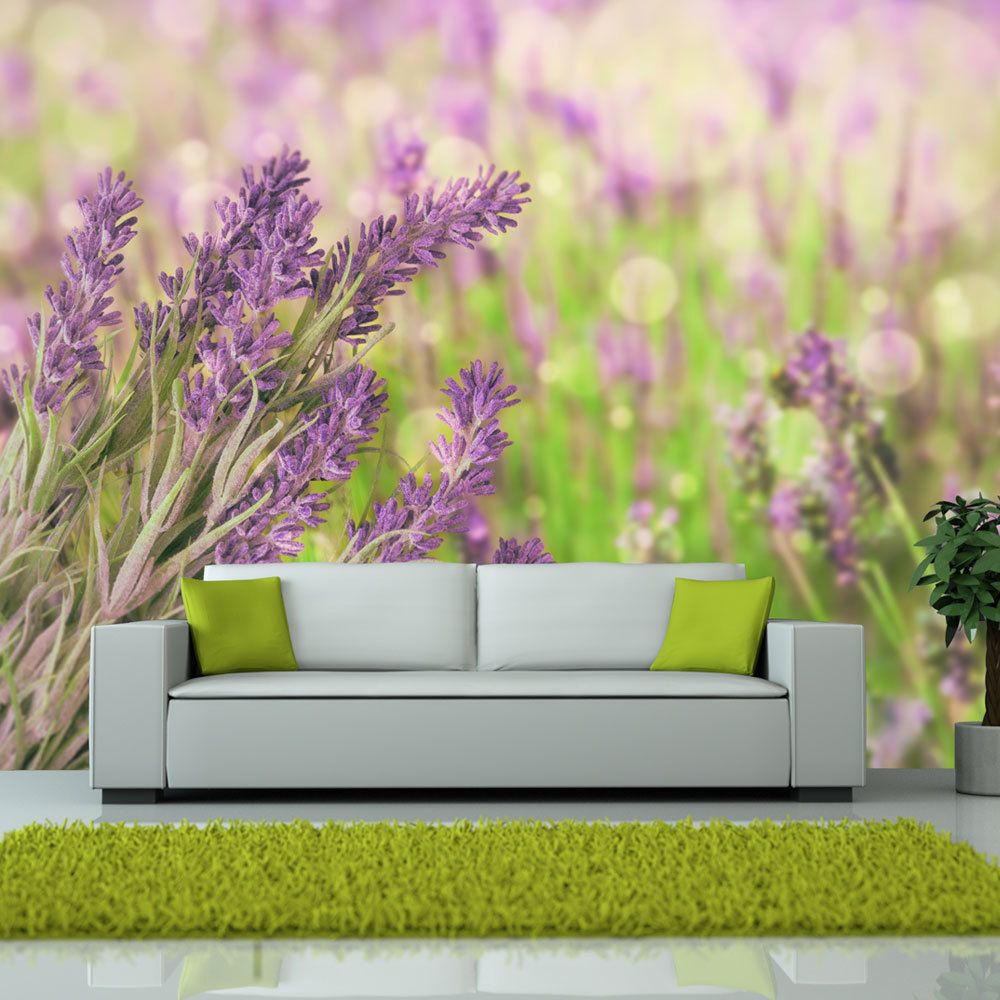 Bimago - Papier peint | Lavender gardens | 300x231 | Fleurs | Prairie | - Papier peint