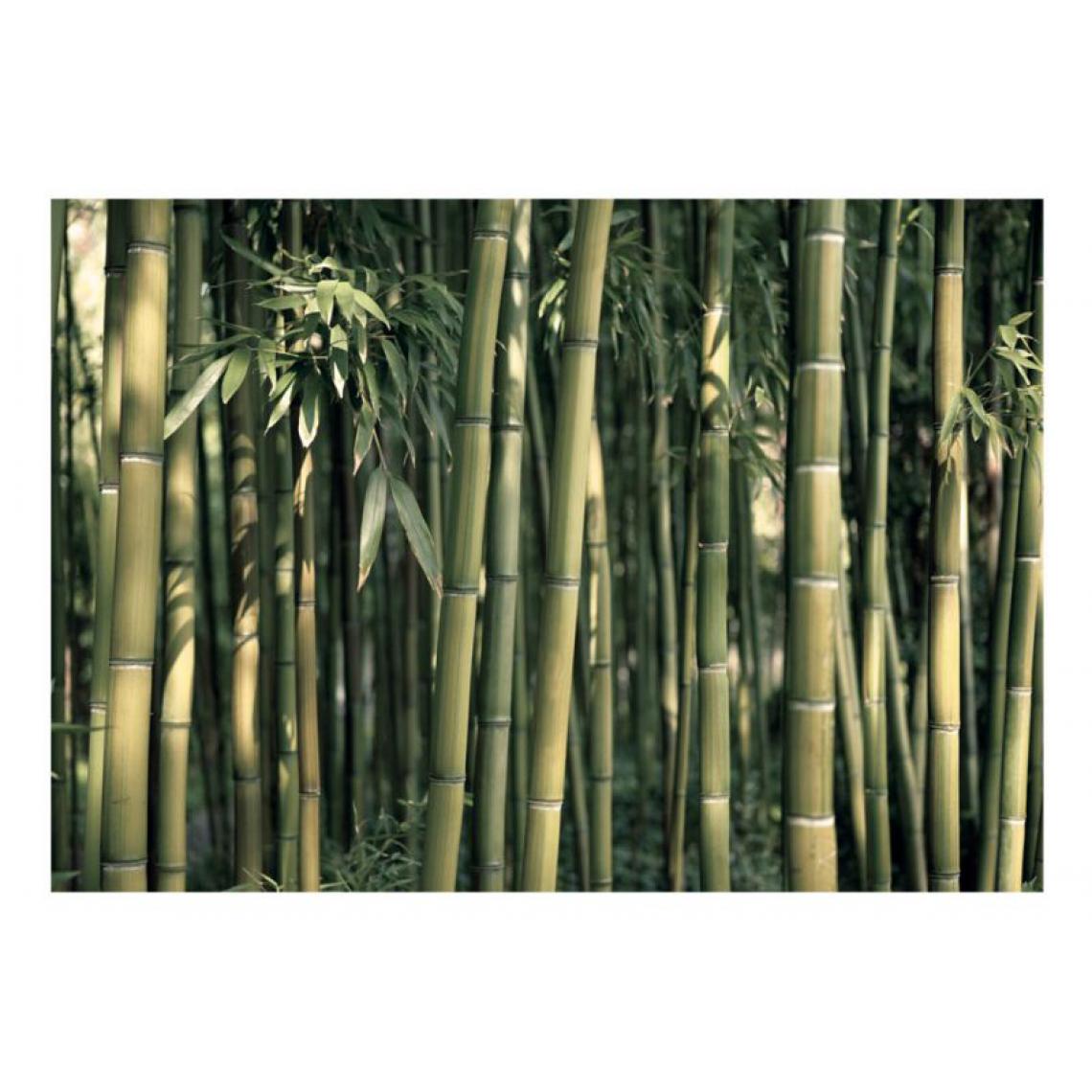 Artgeist - Papier peint - Bamboo Exotic .Taille : 250x175 - Papier peint