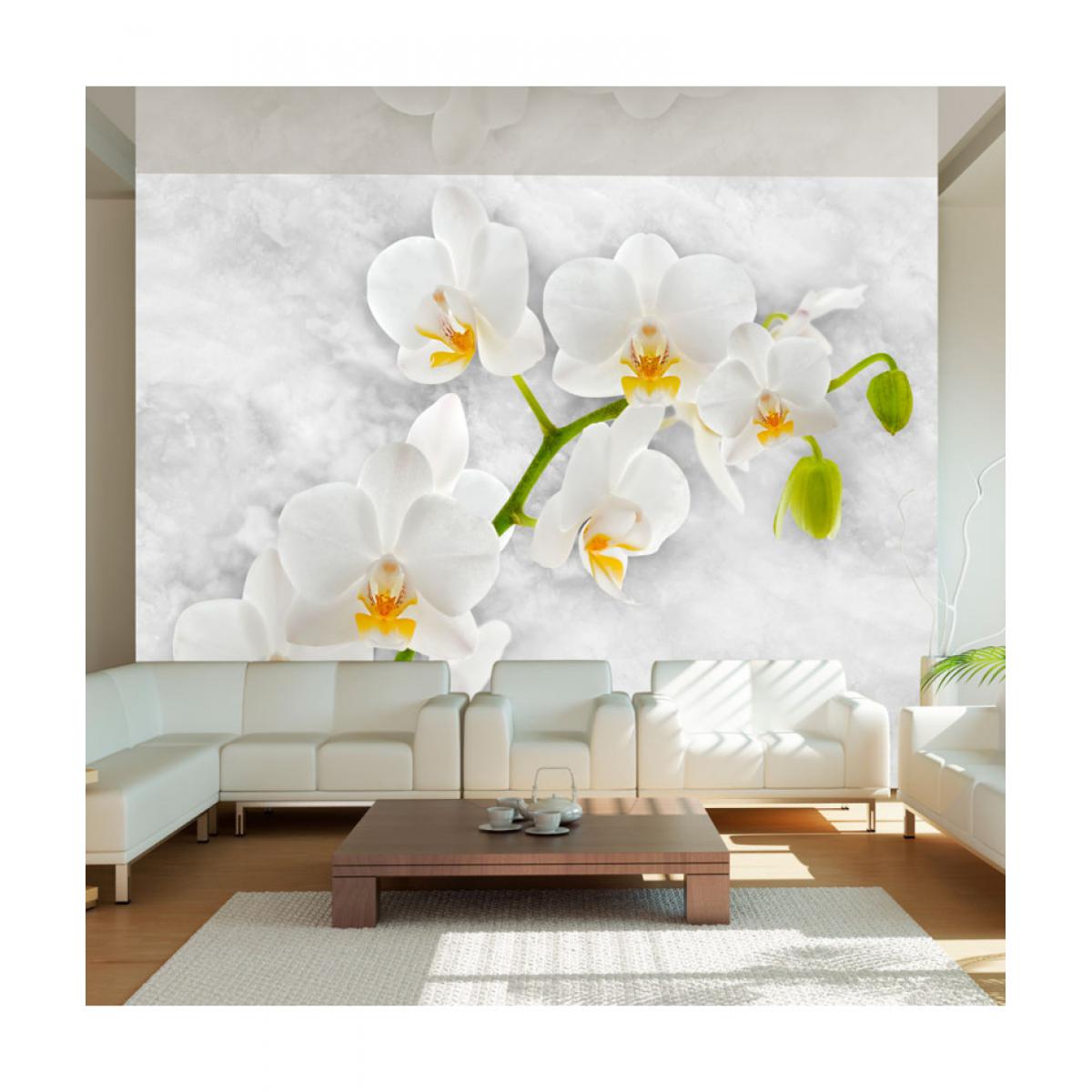Artgeist - Papier peint - Lyrical orchid - White 400x280 - Papier peint