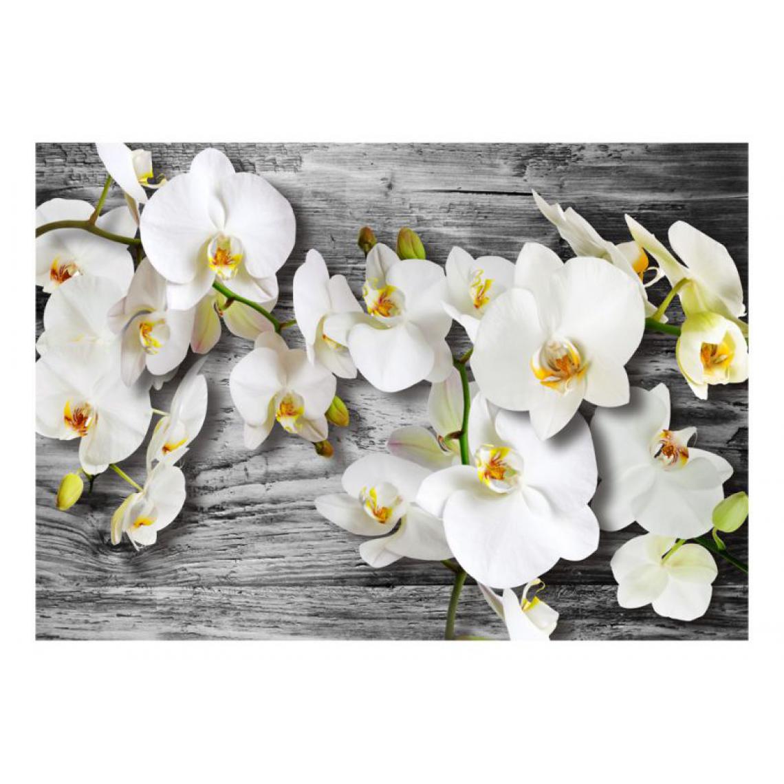 Artgeist - Papier peint - Callous orchids III .Taille : 200x140 - Papier peint