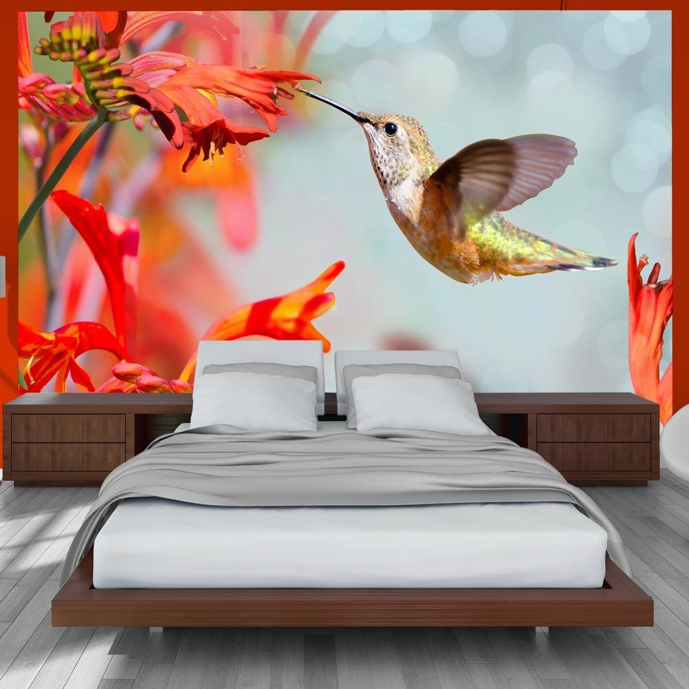 Bimago - Papier peint | Hummingbird flight | 150x105 | Animaux | - Papier peint
