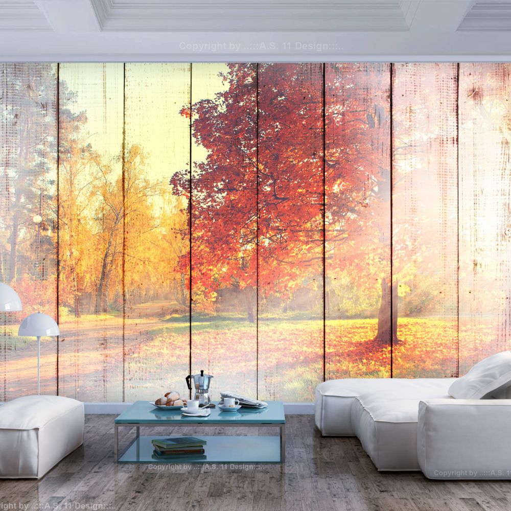 marque generique - 250x175 Papier peint Arbres et Forêt Paysages Contemporain Autumn Sun - Papier peint