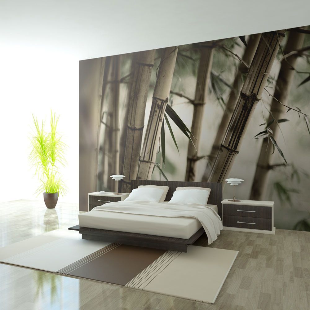 marque generique - 450x270 Papier peint Moderne Fog and bamboo forest - Papier peint