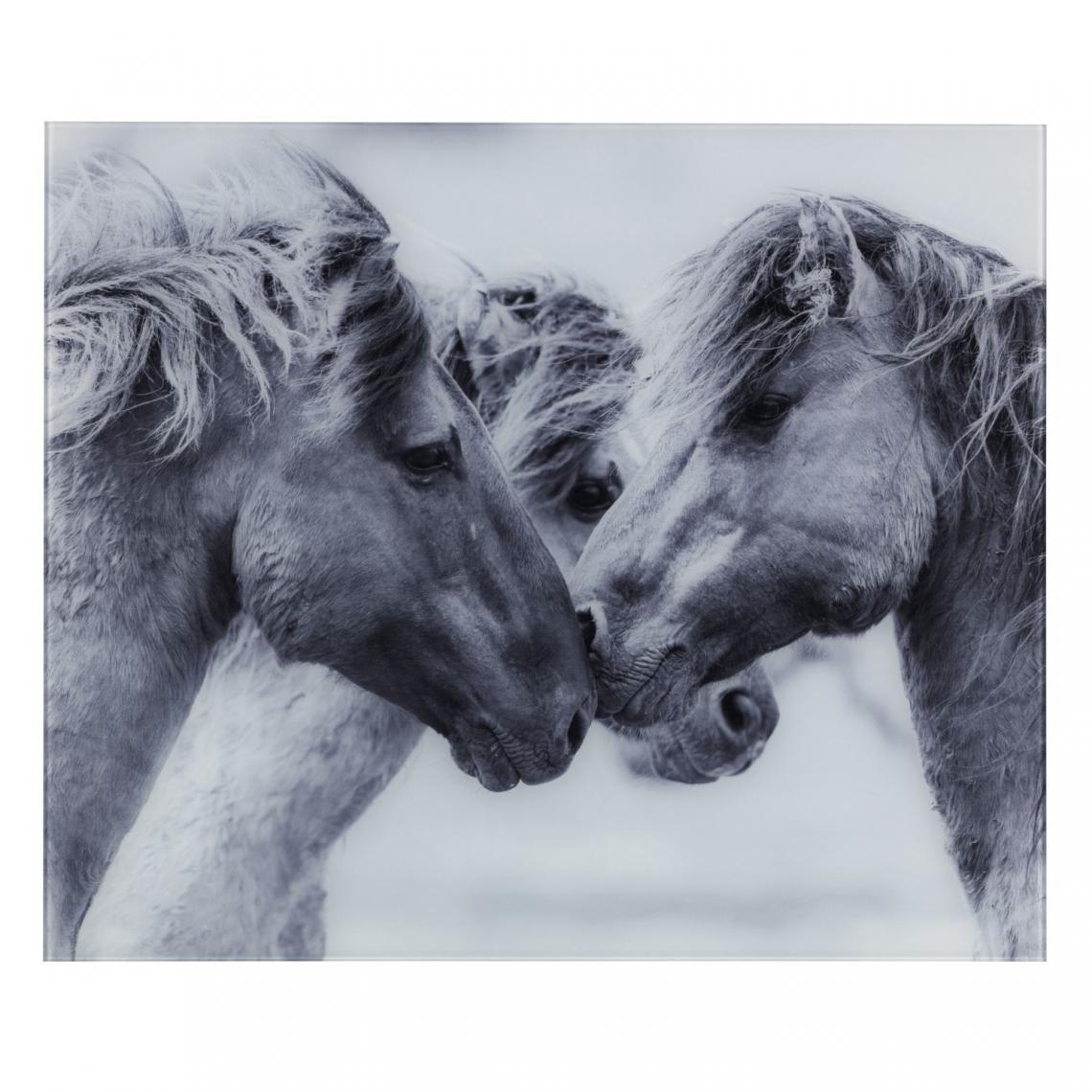Wenko - Fond de hotte en verre trempé chevaux sauvages - Longueur 60 cm x Largeur 50 cm - Fond de hotte