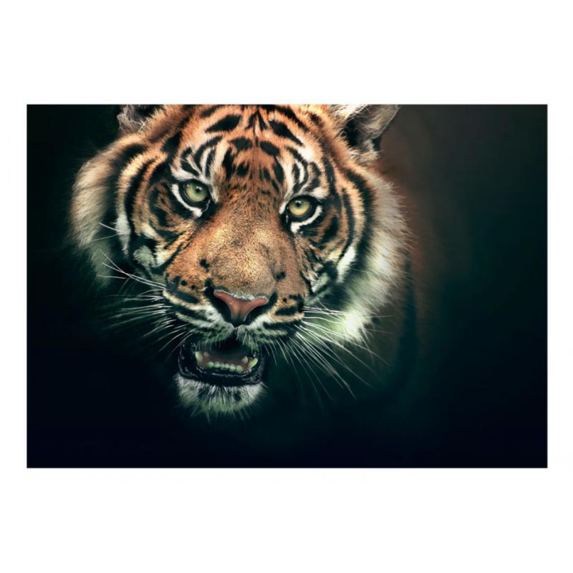 Artgeist - Papier peint - Tigre du Bengale .Taille : 300x231 - Papier peint