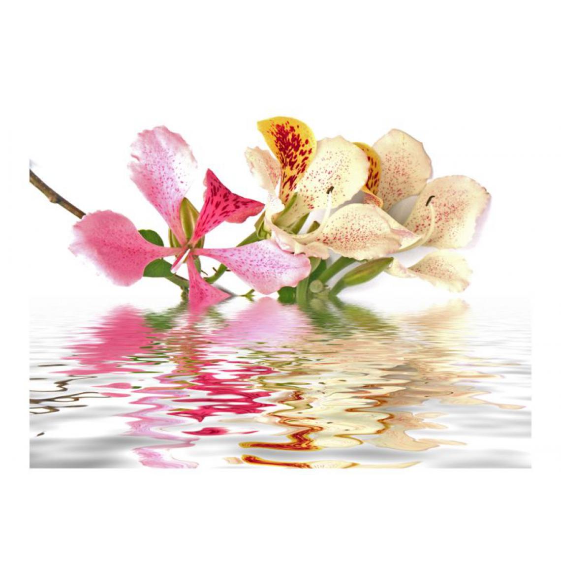 Artgeist - Papier peint - Fleurs tropicales - arbre aux orchidées (bauhinia) .Taille : 300x231 - Papier peint