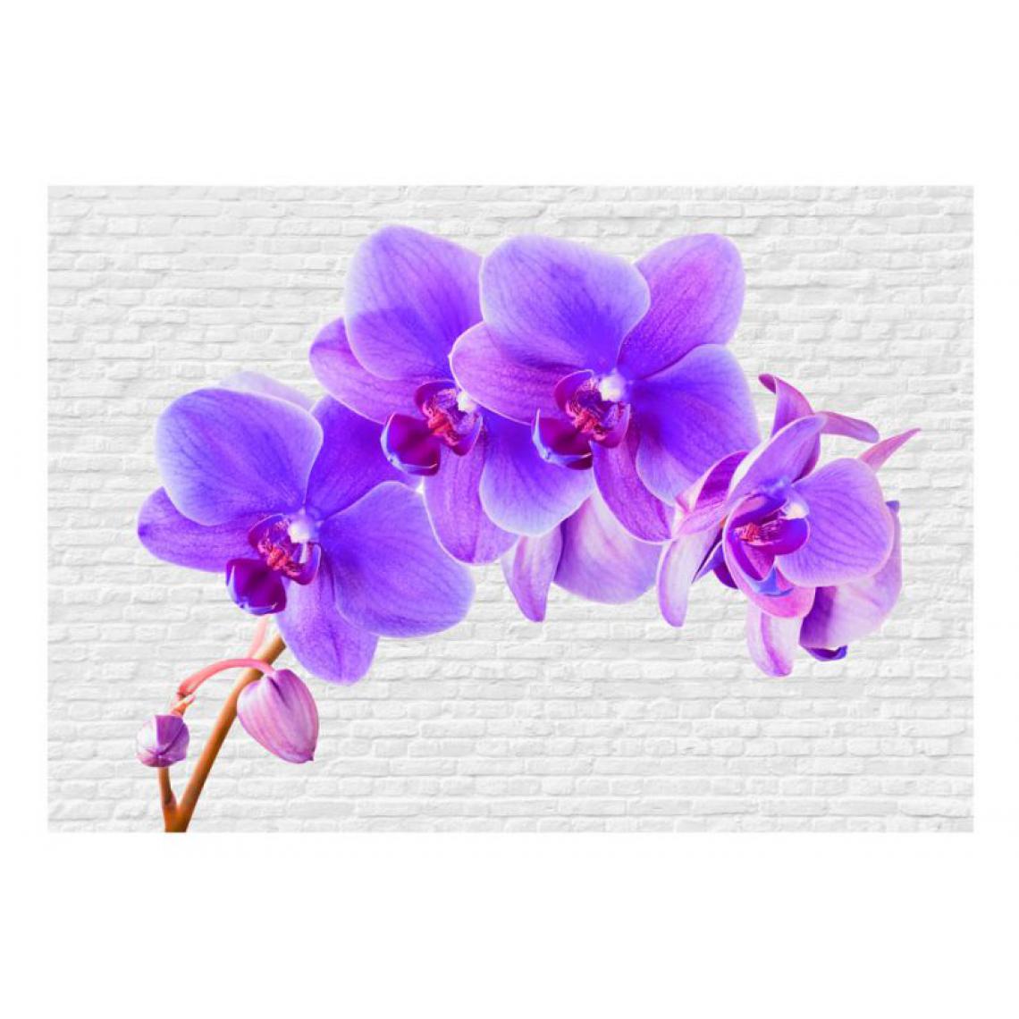 Artgeist - Papier peint - Violet excitation .Taille : 250x175 - Papier peint