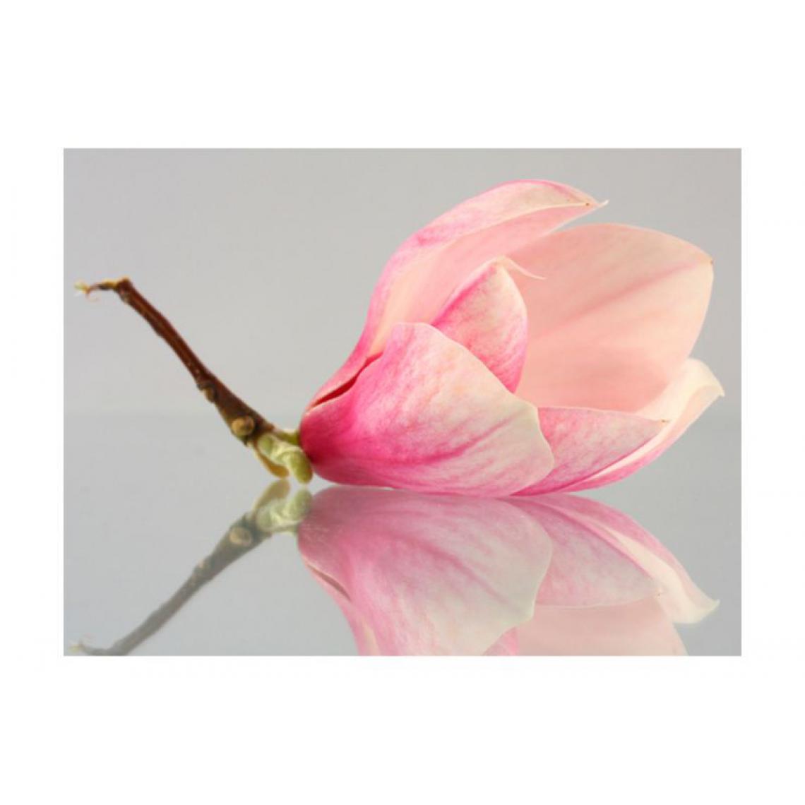 Artgeist - Papier peint - Fleur de magnolia solitaire .Taille : 250x193 - Papier peint
