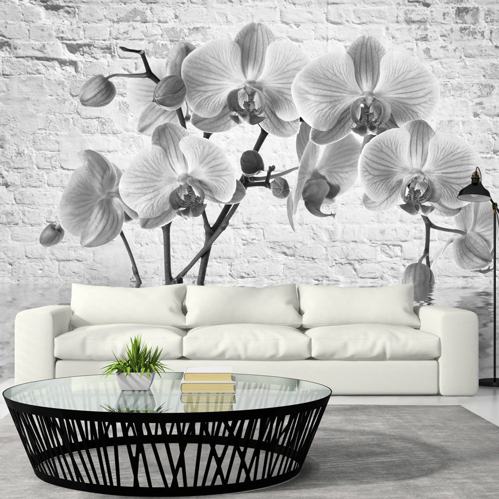marque generique - 350x245 Papier peint Orchidées Fleurs Moderne Orchid in Shades of Gray - Papier peint