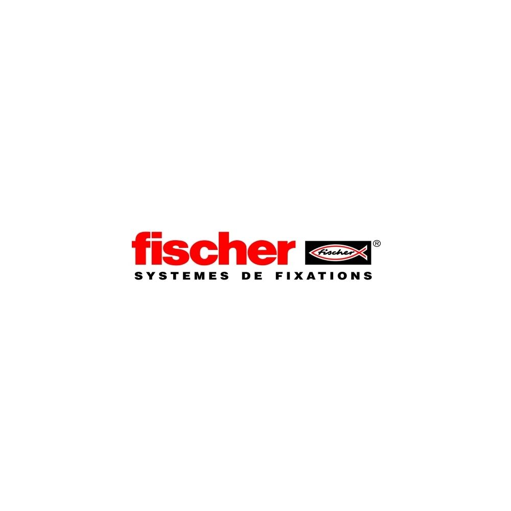 Fischer - patte à vis pv5/70 métal boîte de 100 réf 18858 - fischer 18858 - Mastic, silicone, joint