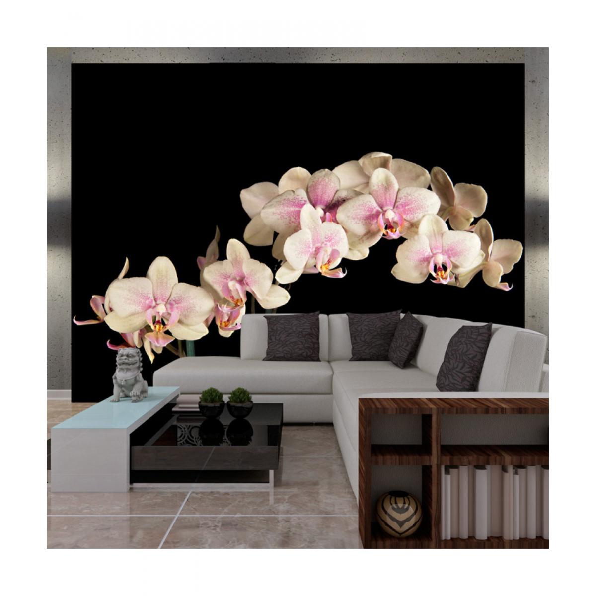 Artgeist - Papier peint - Orchidée en fleurs 300x231 - Papier peint