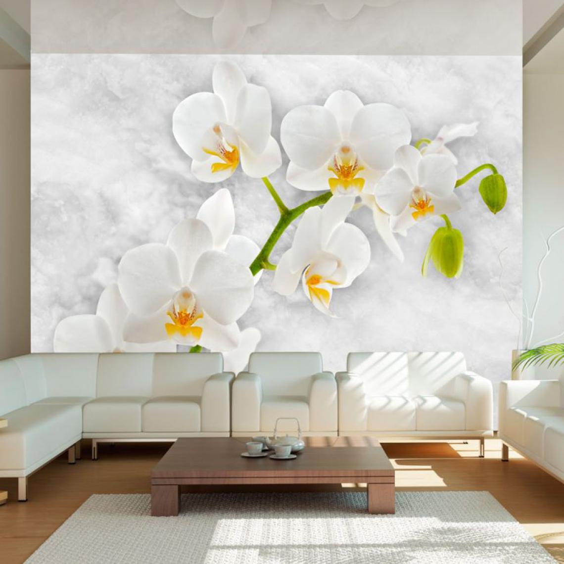 Artgeist - Papier peint - Lyrical orchid - White .Taille : 100x70 - Papier peint