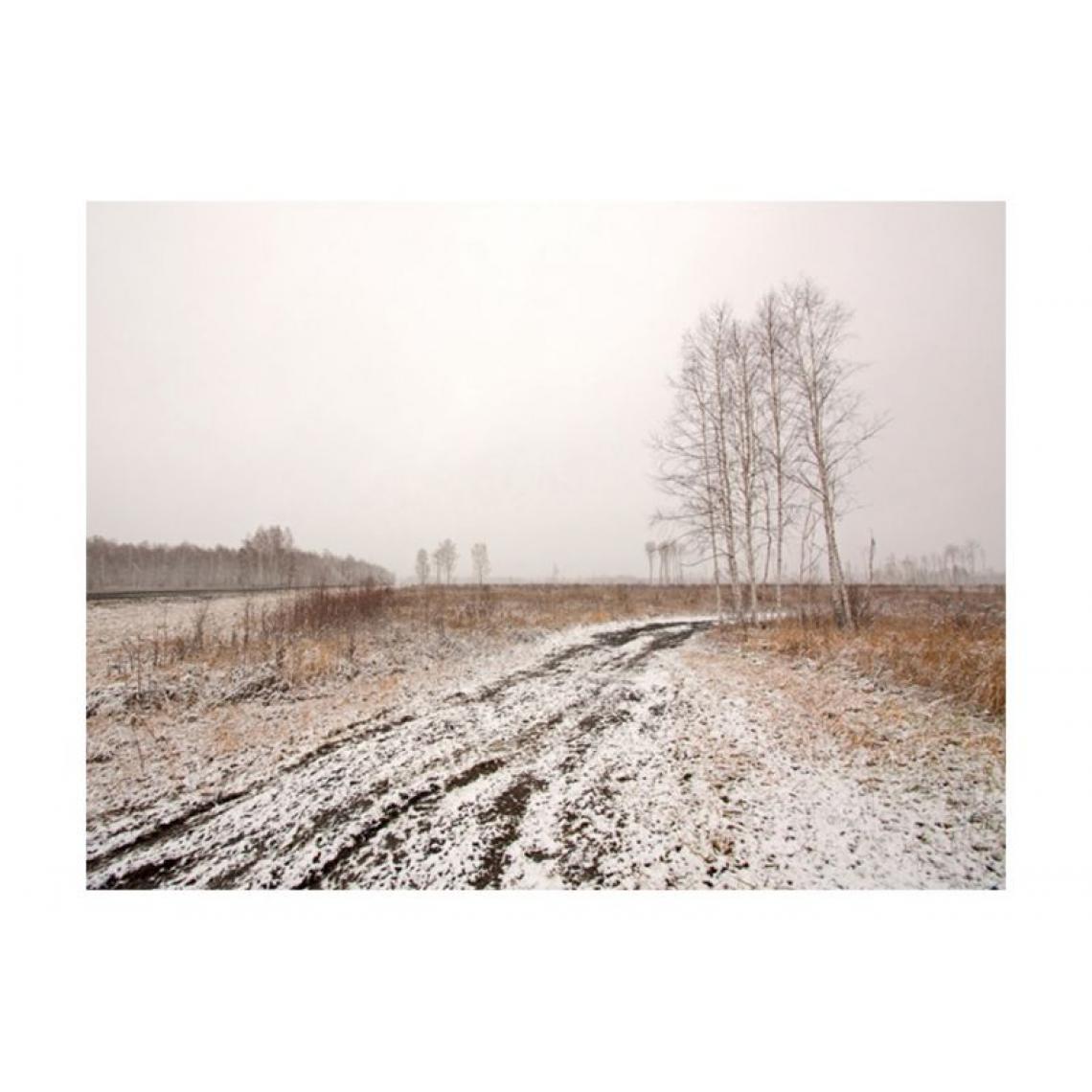 Artgeist - Papier peint - Winter field .Taille : 350x270 - Papier peint