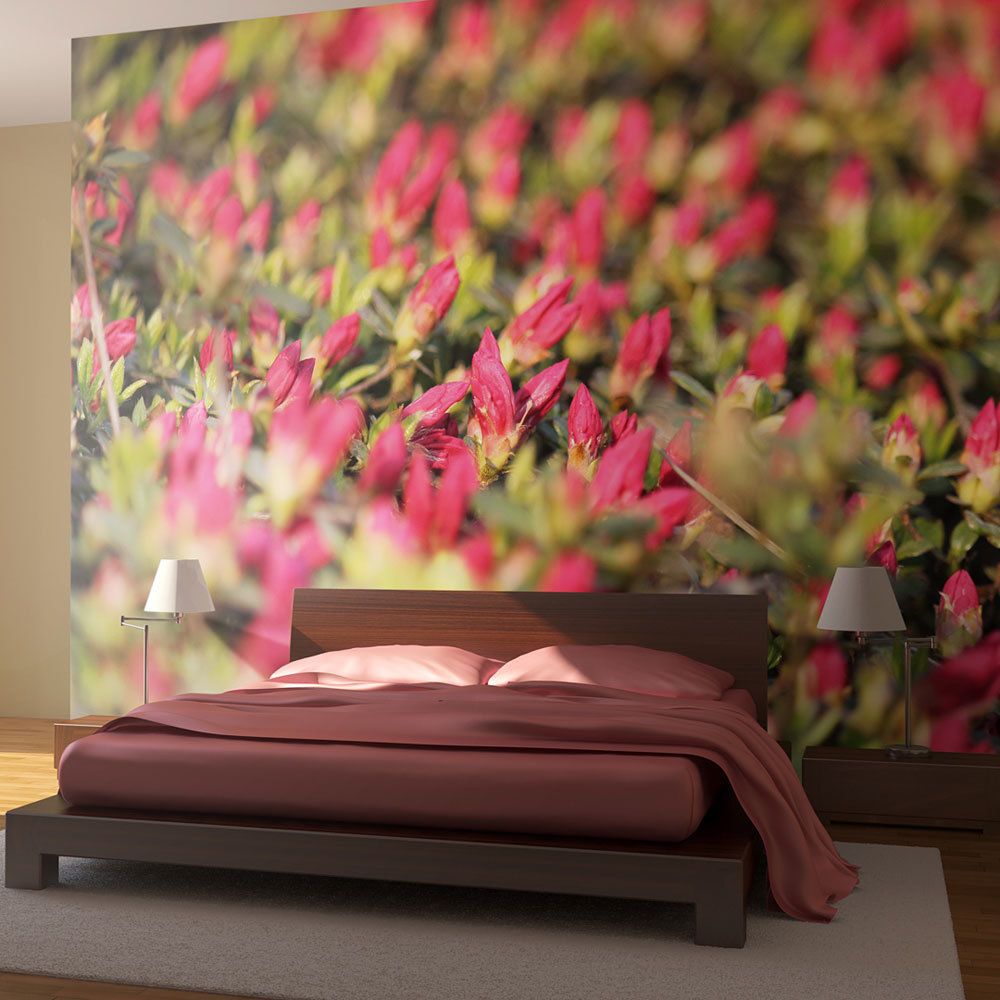 Bimago - Papier peint | Azalée japonaise, fleurs roses | 200x154 | Fleurs | Autres fleurs | - Papier peint