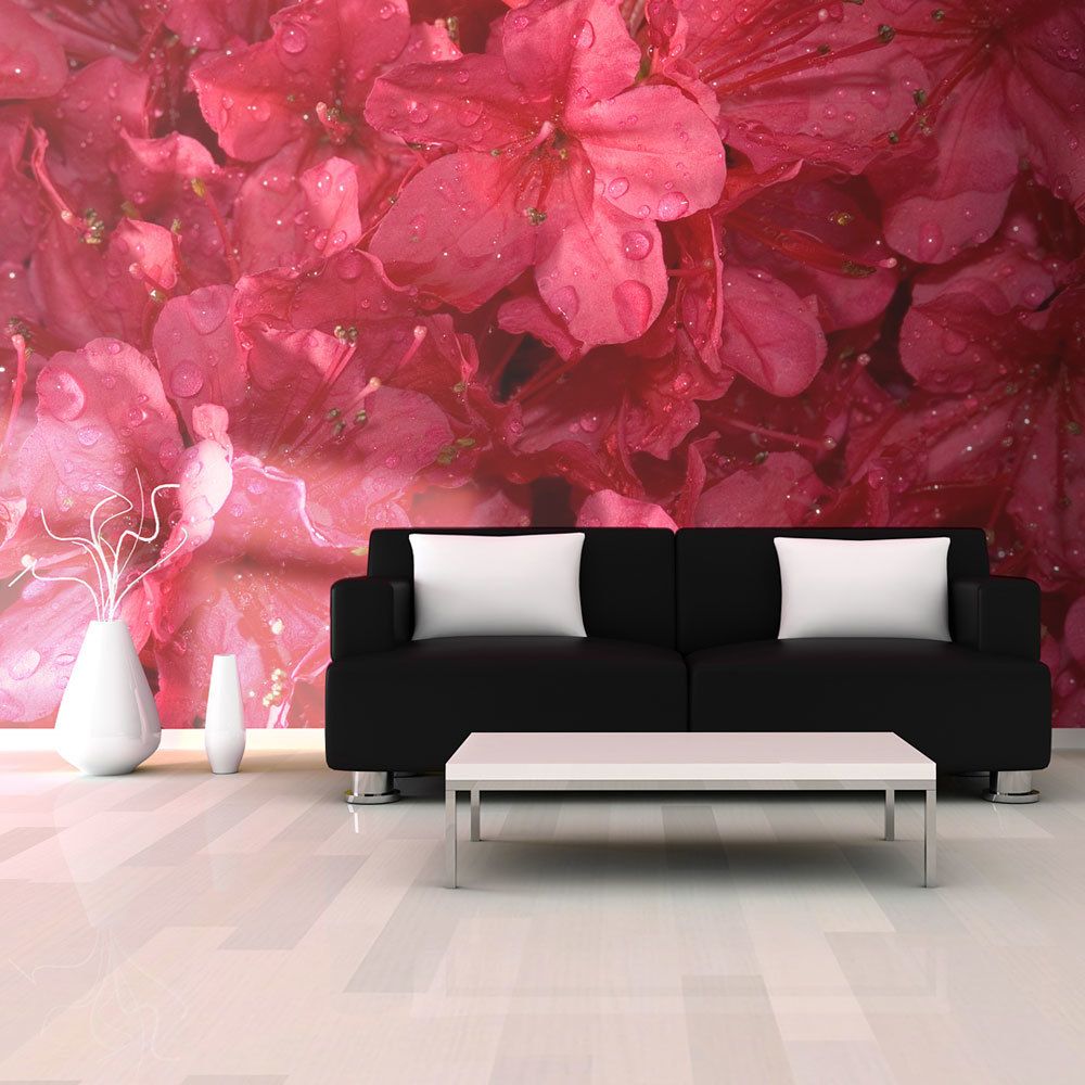 Bimago - Papier peint | Red azalea | 250x193 | Fleurs | Autres fleurs | - Papier peint